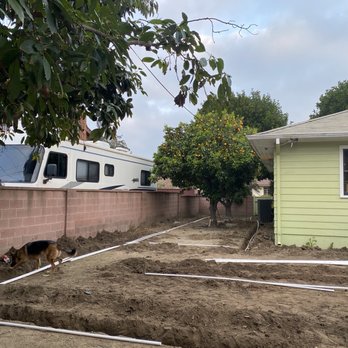 Tony's BC Tree Service - Before - Tree Services Near Me - Orange, California Tony's BC Tree Service - Before - Tree Services Near Me - Orange, California