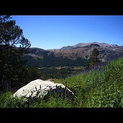 Mt. Dana