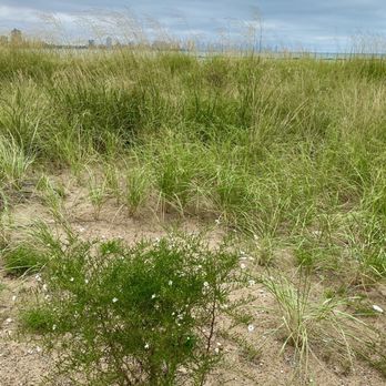 Rainbow Beach Dunes Natural Area - Parks Near Me - Chicago, Illinois Rainbow Beach Dunes Natural Area - Parks Near Me - Chicago, Illinois
