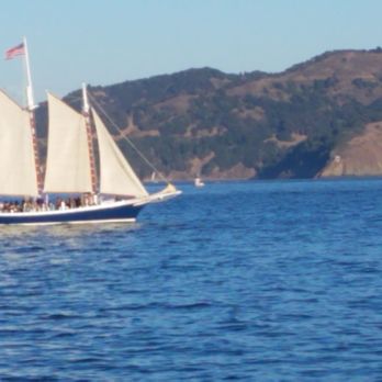 The Trident - Trident Sausalito - Seafood Near Me - Sausalito, California The Trident - Trident Sausalito - Seafood Near Me - Sausalito, California