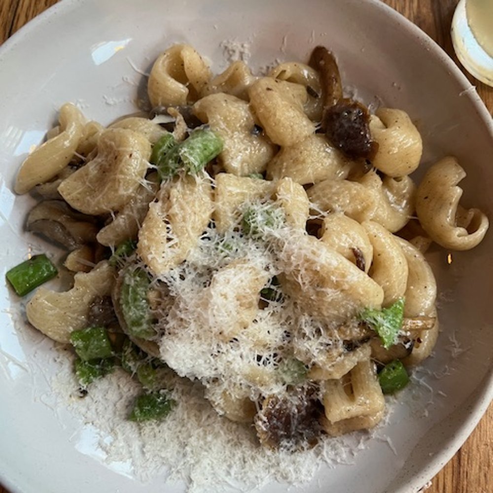 Little Sage - Lumache with roasted mushrooms - Italian Near Me - Boston, Massachusetts