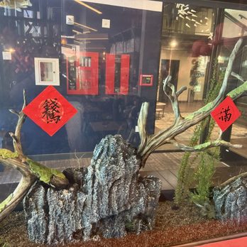 Biang Biang Noodles - Noodles Near Me - Seattle, Washington