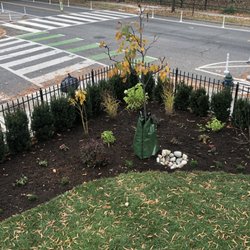 Shorb Landscaping - After: Bayscape, with native plants, bordered by taxus  hicksii along the fence.