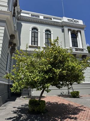 MUSA Museum of the Arts University of Guadalajara by null