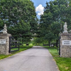 Mt Brilliant Farm