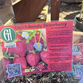 The Greenhouse - Information - Nurseries & Gardening Near Me - Norman, Oklahoma The Greenhouse - Information - Nurseries & Gardening Near Me - Norman, Oklahoma