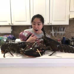 Casino Lobster Co - Lobster