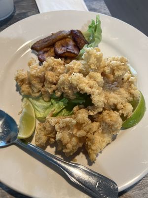 Conch Heaven by null