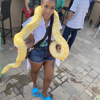 Kids Reptile Parties - Me & The Snake - Party & Event Planning Near Me Kids Reptile Parties - Me & The Snake - Party & Event Planning Near Me