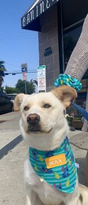 Fur-Kids Boutique by null