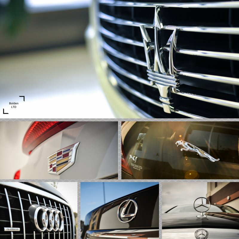 BOLDEN LTD Updated October 2024 3101 S Evans St, Greenville, North