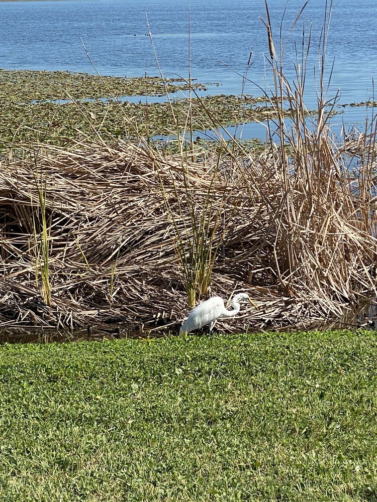 SEMINOLE FLORIST Updated September 2024 13 Photos & 10 Reviews