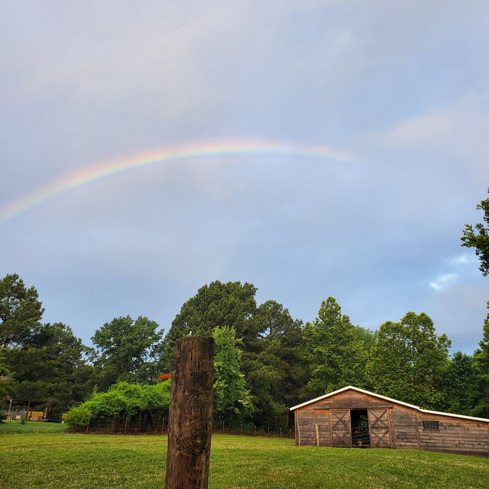 Tri Max Stables - equestrian in Barling, AR