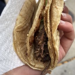 a hand holding a taco