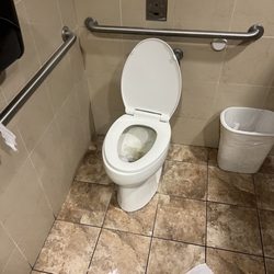 Shell - toilet backed up, toilet paper strung all over the floor.
