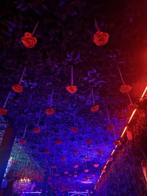 The Dirty Rabbit Wynwood by null