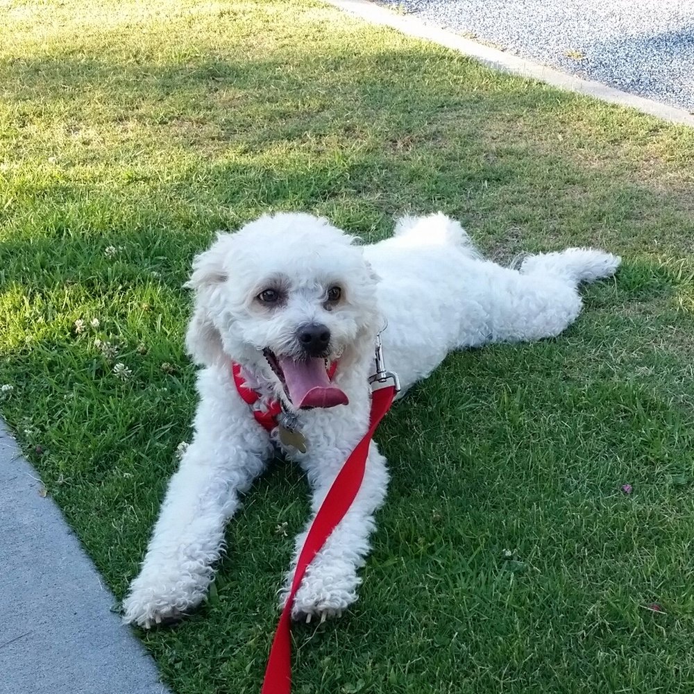Hanging at the park with Daisy. Hanging at the park with Daisy.
