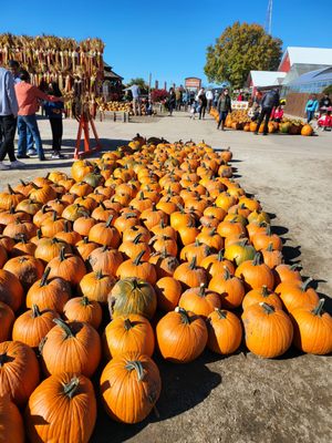 Goebbert's Farm - South Barrington by null
