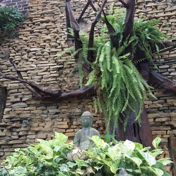 Le Petit Café - Garden area - Coffee & Tea Near Me - Brooklyn, New York