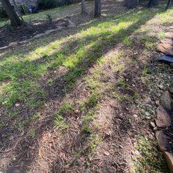 Boones Landscaping - dead sod