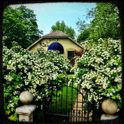 THE BEEHIVE SALON - Updated January 2025 - 204 Traverse St, Elk Rapids