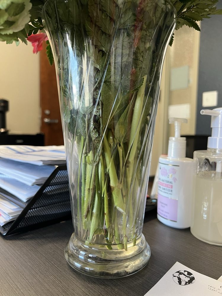 CHASE FLOWER SHOP Updated October 2024 111 Photos & 108 Reviews