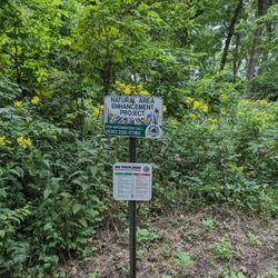 Restoring native plants