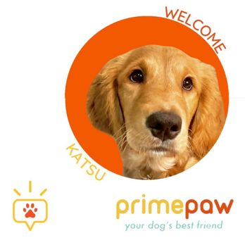 Primepaw - They do a welcome post for pups as well! - Dog Walkers Near Me - San Francisco, California Primepaw - They do a welcome post for pups as well! - Dog Walkers Near Me - San Francisco, California