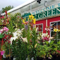 Mile 5.2 Greenhouse & Gift Shop