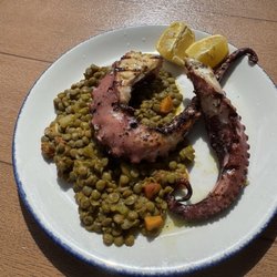 Athens on Easy Street - Octopus