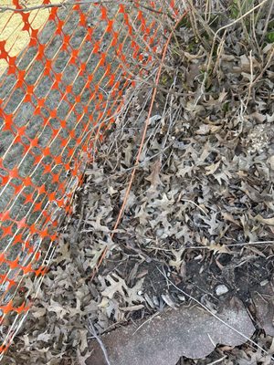 Ritter Communications