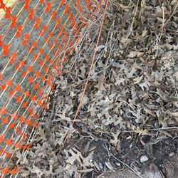 Ritter Communications - We have had to work around this cable for 2 years now. It's time to start cutting grass again. We are told that a "ticket" has been put in.