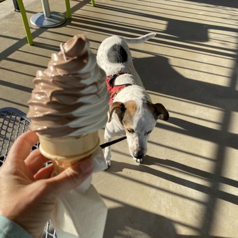 Jeremiah's Italian Ice - They are also pet friendly, and our four legged kid loves his treat (peanut butter flavor) when we go. - Desserts Near Me - Spring, Texas Jeremiah's Italian Ice - They are also pet friendly, and our four legged kid loves his treat (peanut butter flavor) when we go. - Desserts Near Me - Spring, Texas