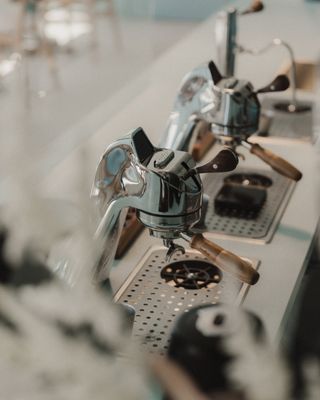 The Boy & The Bear - Gardena by null