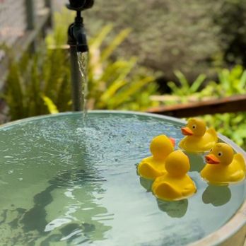 Ali'i Kula Lavender - The welcoming crew. - Tours Near Me - Kula, Hawaii