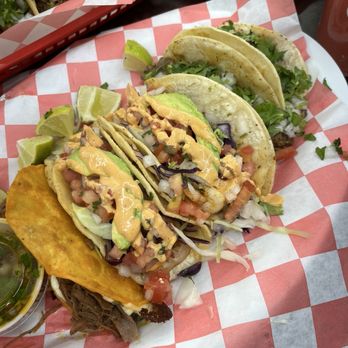 Tacos El Primo- Authentic Mexican Grill Henderson - El Primo Special Birria Taco + Shrimp Tacos + Steak Tacos - Mexican Near Me - Tampa, Florida Tacos El Primo- Authentic Mexican Grill Henderson - El Primo Special Birria Taco + Shrimp Tacos + Steak Tacos - Mexican Near Me - Tampa, Florida