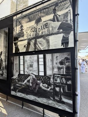 Coconut Grove Arts Festival by null