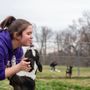 Photo of Bark Central Kennel & Pet Resort