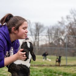Bark Central Kennel & Pet Resort