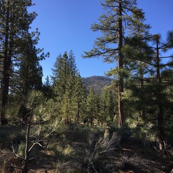 Heart Bar Campground - view from site - Campgrounds Near Me - San Bernardino, California Heart Bar Campground - view from site - Campgrounds Near Me - San Bernardino, California
