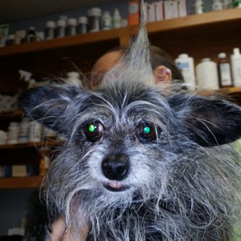 Pine Meadow Veterinary Clinic - Veterinarians Near Me - Pensacola, Florida
