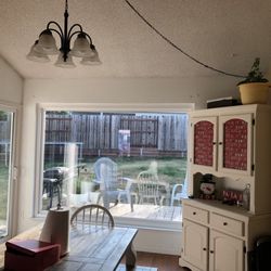 Forrest Windows