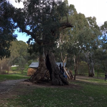 Belair National Park - Parks Near Me - Belair, SA