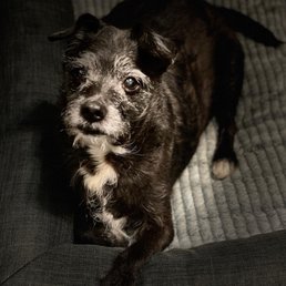 My old man Maxx My old man Maxx