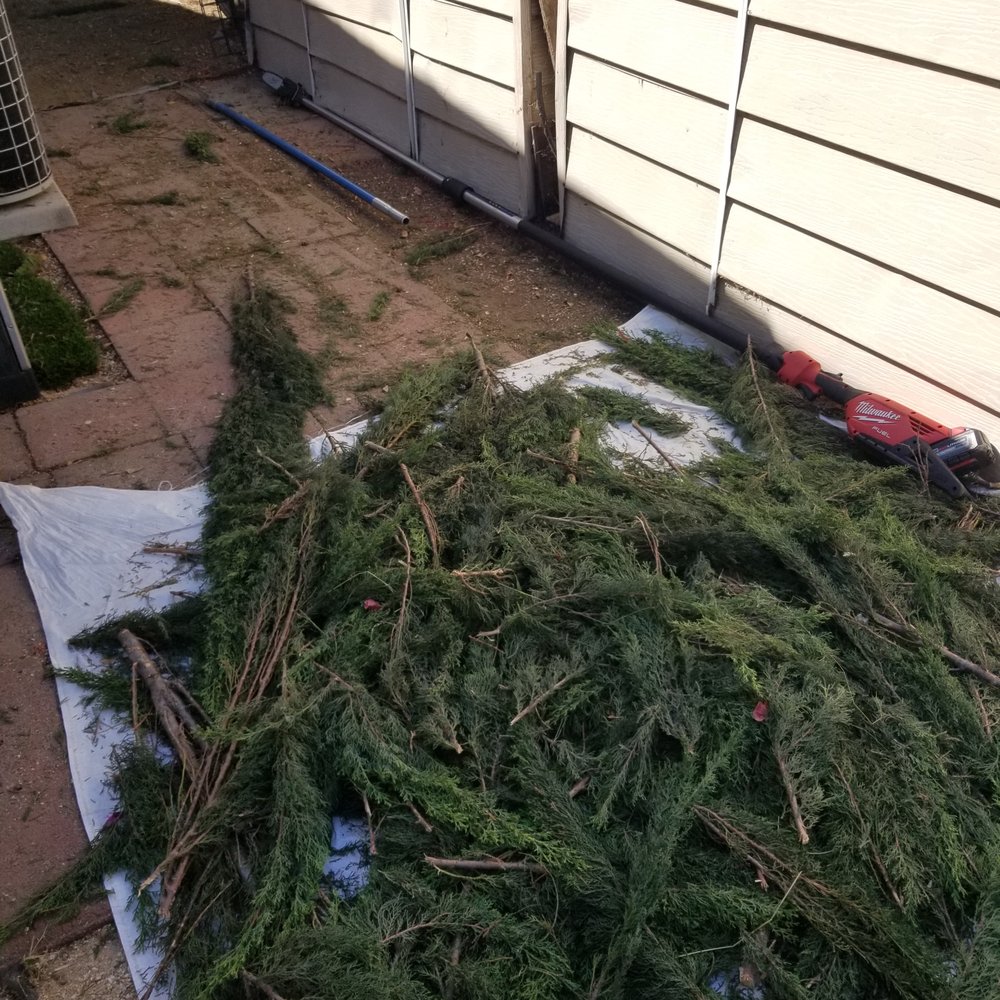 Pinnacle Tree Care - Good cleanup too... - Tree Services Near Me