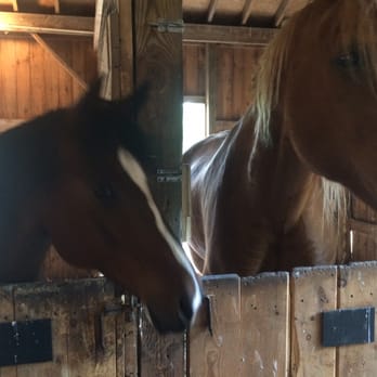 Mountain Horse Farm - Attraction Farms Near Me Mountain Horse Farm - Attraction Farms Near Me