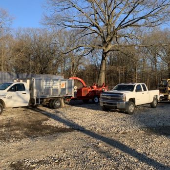 Landmark Tree Care - Tree Services Near Me