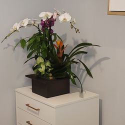 Glendale Smiles - Just a corner of the reception area.