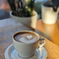 Fox in the Snow Cafe - Oatmilk latte.
