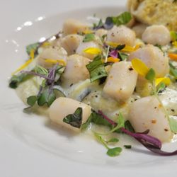 WholeHearted Epicure - Lemon Ricotta Zoodles with Sous Vide Scallops